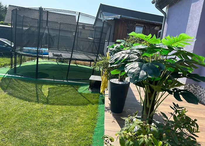 Traumwohnung 3 Zi Im Gruenen Retro Terrasse, Garten, Grill, Wifi Διαμέρισμα Hove (Rhein-Sieg)